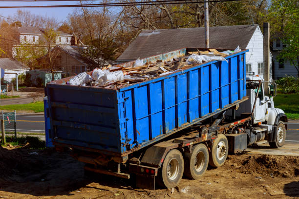 Best Dumpster Rental Services  in Forestville, OH