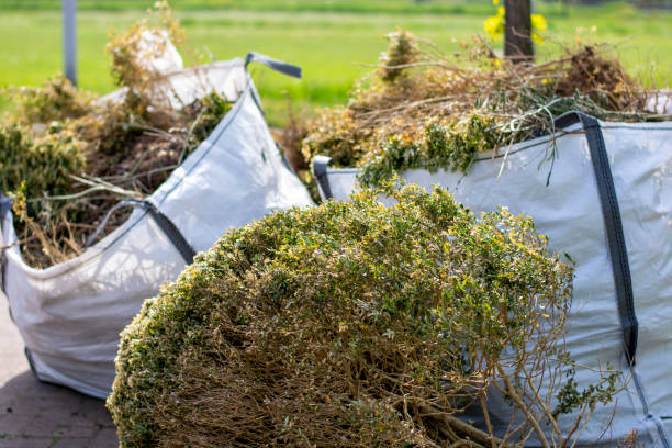 Best Professional Junk Removal  in Forestville, OH