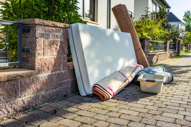 Best Yard Cleanup Services  in Forestville, OH