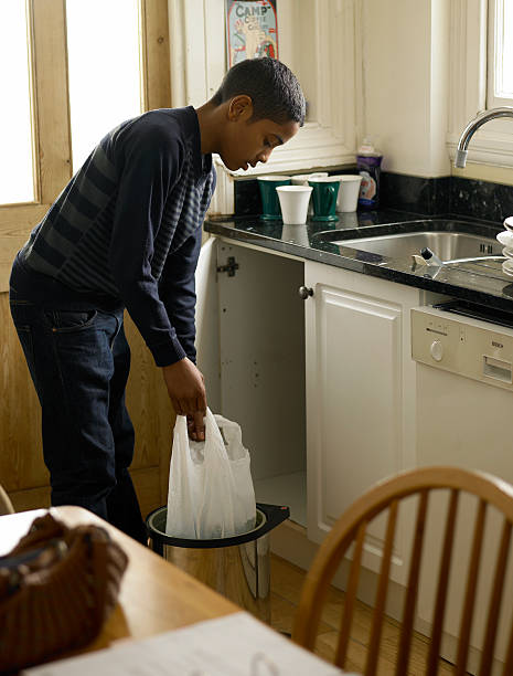 Professional Junk Removal in Forestville, OH